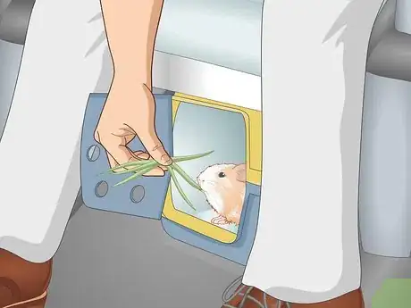 Image titled Transport a Guinea Pig Step 13