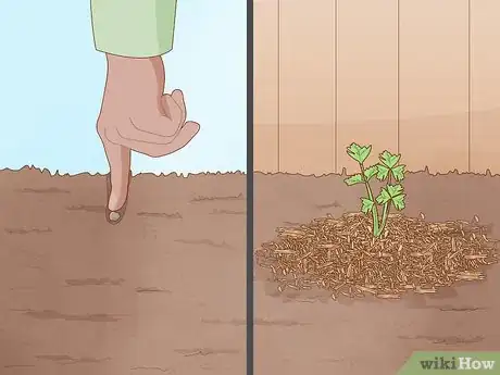 Image titled Build a Living Fence Step 12