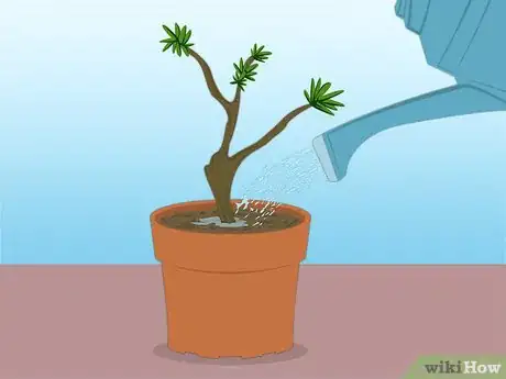 Image titled Propagate Azaleas Step 20