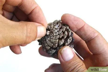 Image titled Make a Pinecone Wreath Step 9