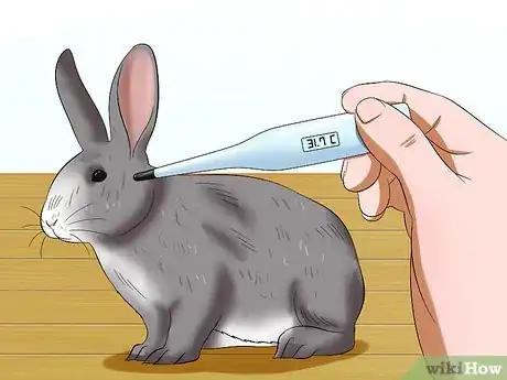 Image titled Keep Rabbits Warm in Sub Zero Weather Step 14