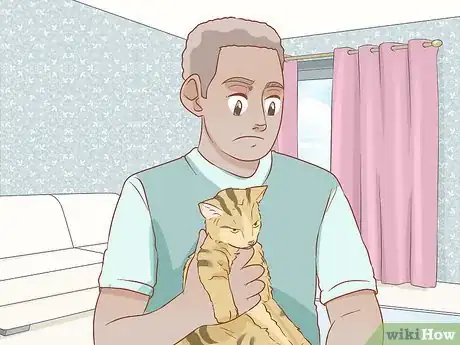 Image titled Get a Veterinary Second Opinion for Your Cat Step 14