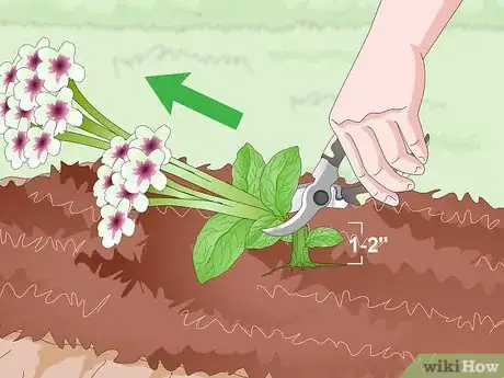 Image titled Prepare Your Garden for the Fall Step 12