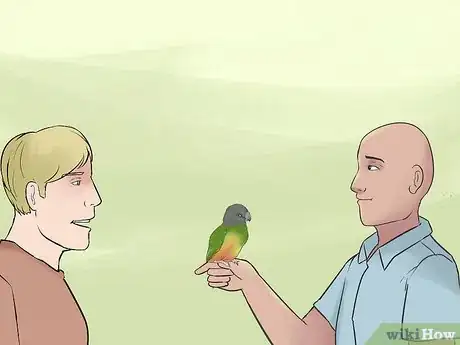 Image titled Care for a Senegal Parrot Step 12