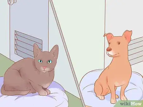 Image titled Keep a Pet When You Have Cats Step 4