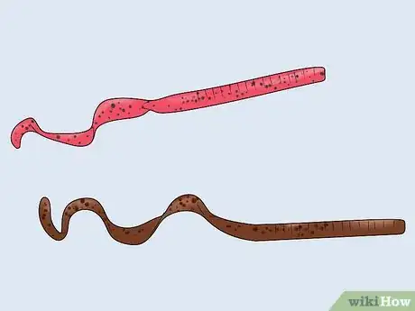 Image titled Fish a Shaky Head Step 4