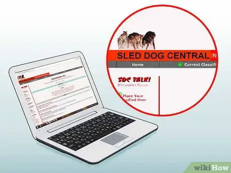 Image titled Get Started Dog Mushing Step 5