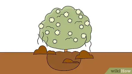 Image titled Plant Viburnum Step 12