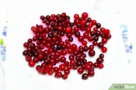 Image titled Dry Cranberries Step 4