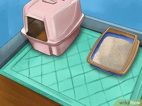 Image titled Deal with Cognitive Disorders in Cats Step 9