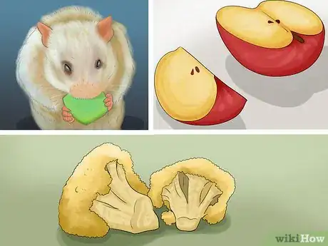 Image titled Care for a Hamster on a Small Budget Step 5