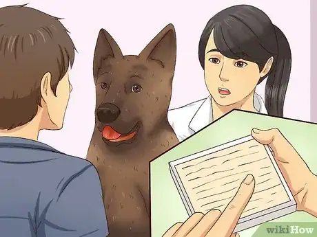 Image titled Ease Your Dog's Stomach Problems Step 3