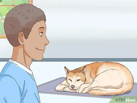 Image titled Tell if a Dog Is Pregnant Step 15