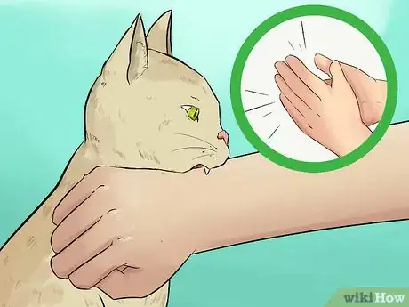 Image titled Stop a Fearful Cat from Biting Step 3