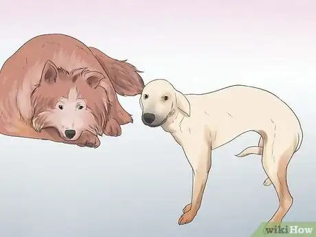 Image titled Rehabilitate an Overly Shy Dog Step 2