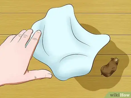 Image titled Make a Room Hamster Friendly Step 13
