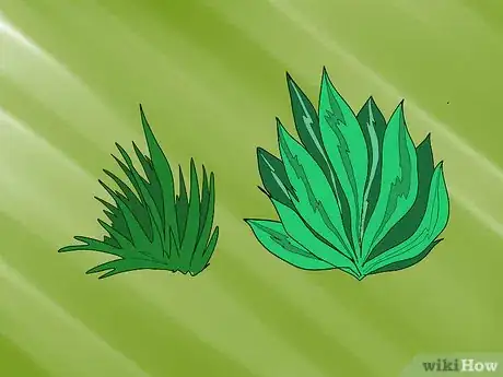 Image titled Set Up a Simple In Tank Refugium Step 6