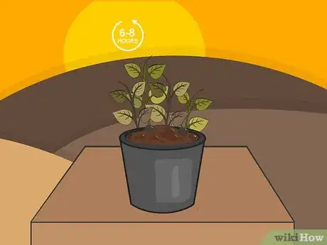Image titled Plant Potatoes in Pots Step 17