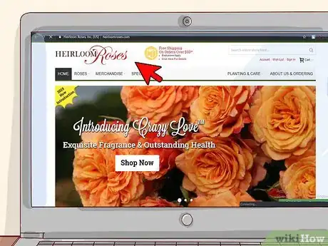 Image titled Buy Rose Bushes Step 2