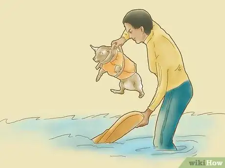 Image titled Teach Your Dog to Surf Step 4