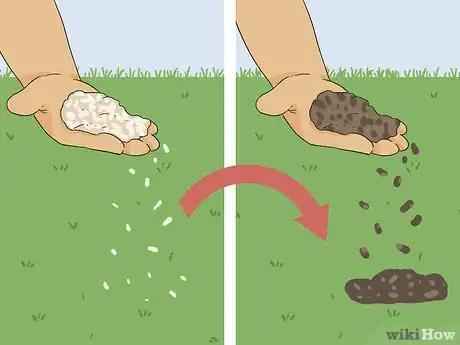 Image titled Bring Back Dead Grass Step 15