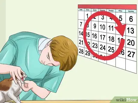 Image titled Detect Kitten URI or Pneumonia Step 9