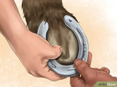 Image titled Maintain Good Hoof Care on Your Horse Step 18