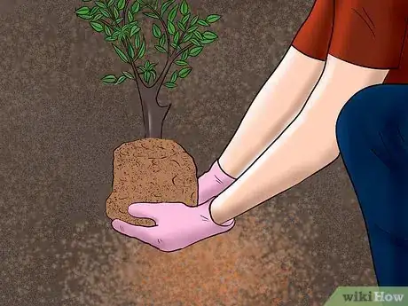 Image titled Landscape Your Driveway Step 13