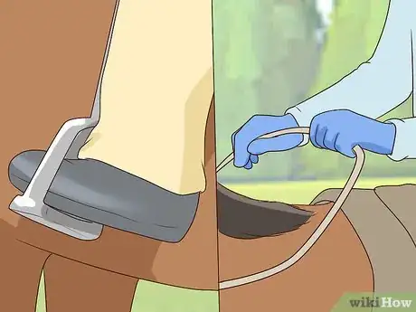 Image titled Get Your Horse to Stand Still for Mounting Step 10