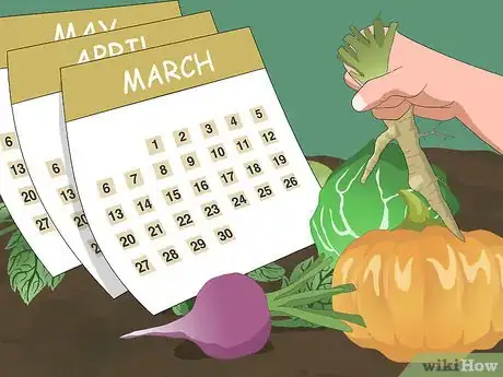 Image titled Store Produce in a Root Cellar Step 3