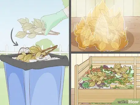 Image titled Prune Red Raspberries Step 5