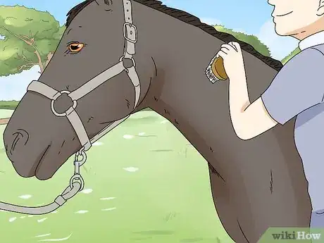 Image titled Be a Good Horse Rider Step 5