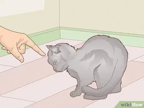 Image titled Have Healthy Relationships with Animals Step 8