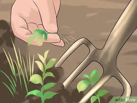 Image titled Grow Australian Native Plants Step 11