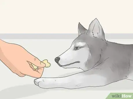Image titled Teach a Dog to Bow Step 15