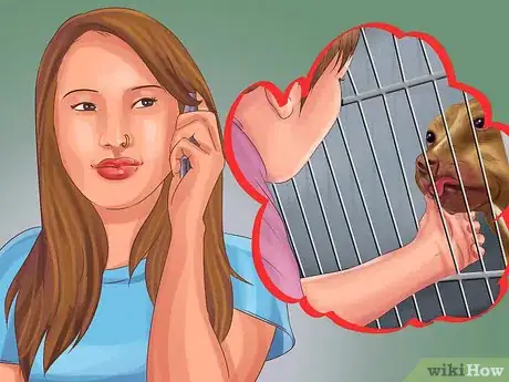 Image titled Advertise a Lost Dog Step 3