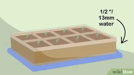 Image titled Plant Seeds in a Basic Seed Tray Step 13
