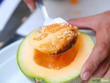 Image titled Use a Melon Baller Step 2