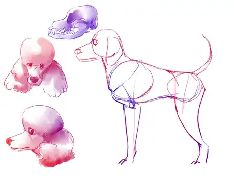 Image titled Poodle6.png
