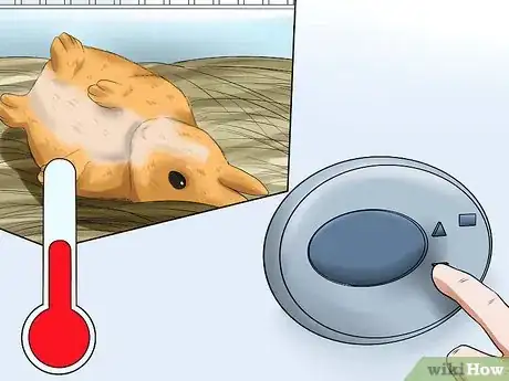 Image titled Prevent Snuffles (Pasteurella) in Rabbits Step 6