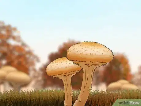 Image titled Photograph Autumn Step 12