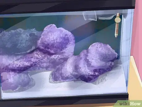 Image titled Start a Saltwater Aquarium Step 26