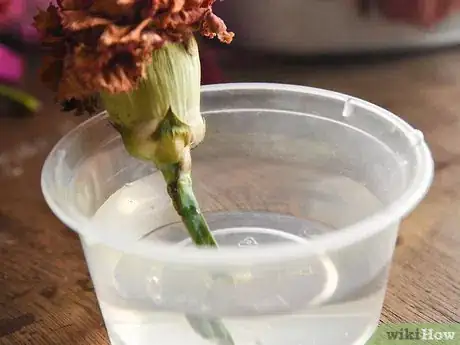 Image titled Make a Dried Flower Bouquet Step 13