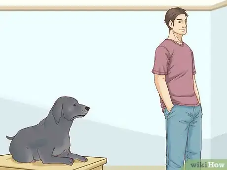 Image titled Interact with a Dog Before Adopting It Step 4