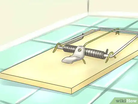 Image titled Humanely Kill a Rodent Step 10