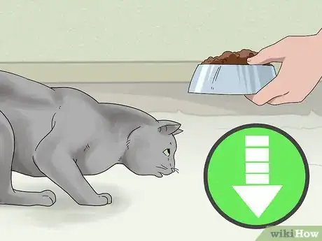 Image titled Schedule Wellness Exams for a Senior Cat Step 7