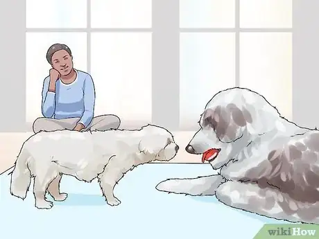 Image titled Have a Successful First Day with a New Dog Step 15