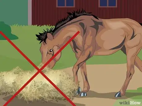 Image titled Prevent Heaves in Horses Step 2