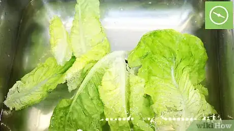 Image titled Clean Greens Step 6