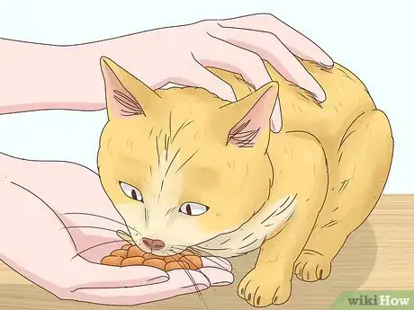 Image titled Countercondition a Cat Step 7